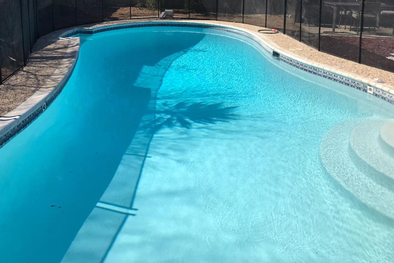 Lone Star Oasis