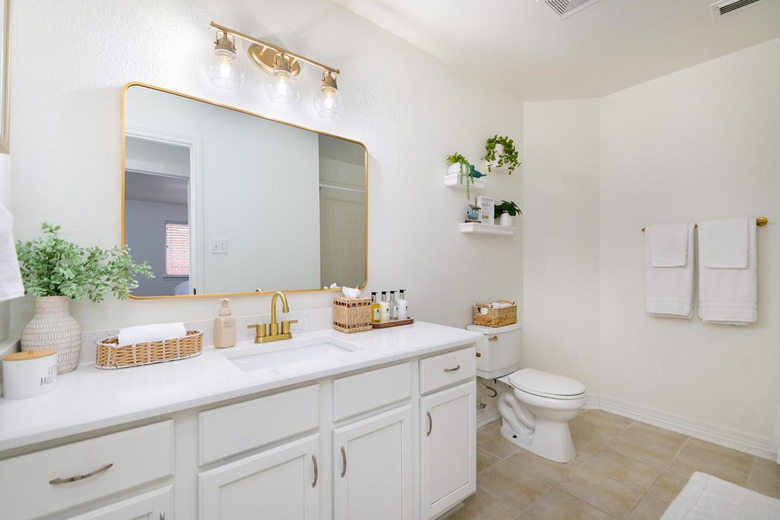 Texas Luxury 2 San Antonio