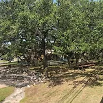 Big Cat Hideaway