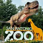 Pet-Friendly Haven In San Antonio