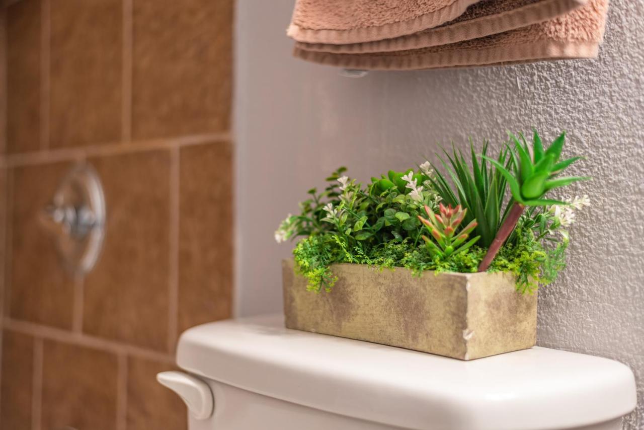 Beautiful At The Botanical Gardens Apartment