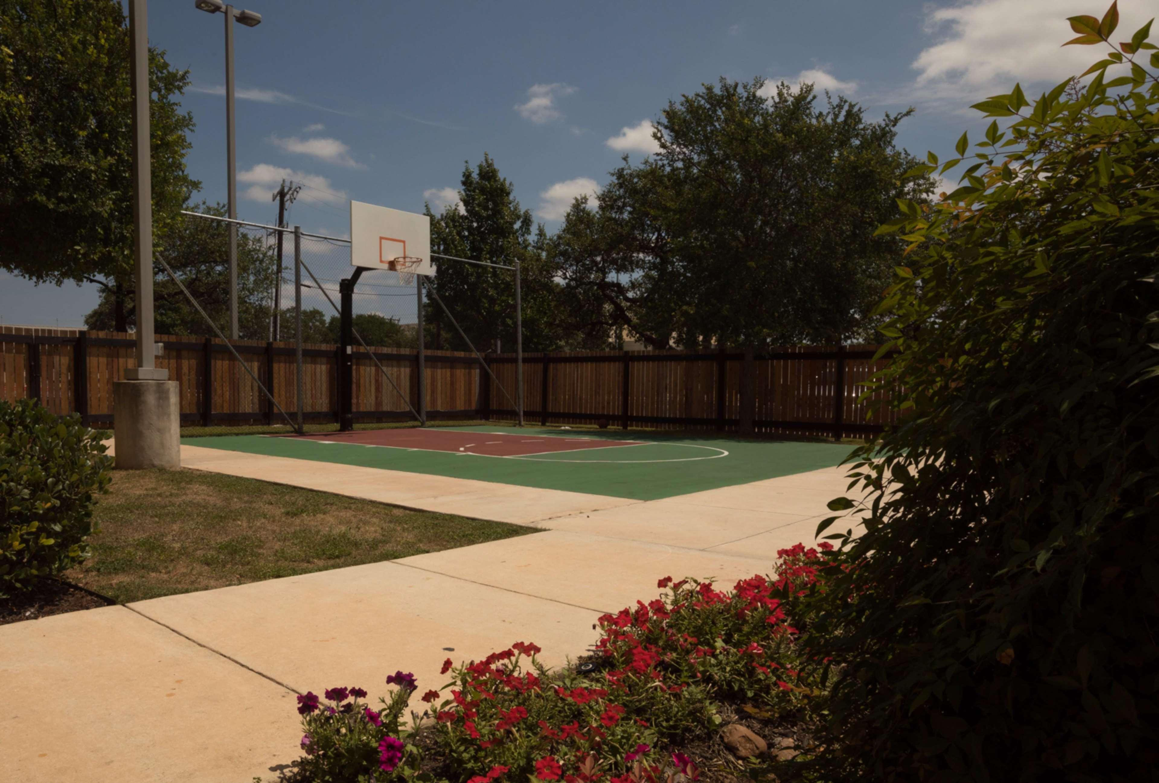 Hotel Homewood By Hilton North San Antonio