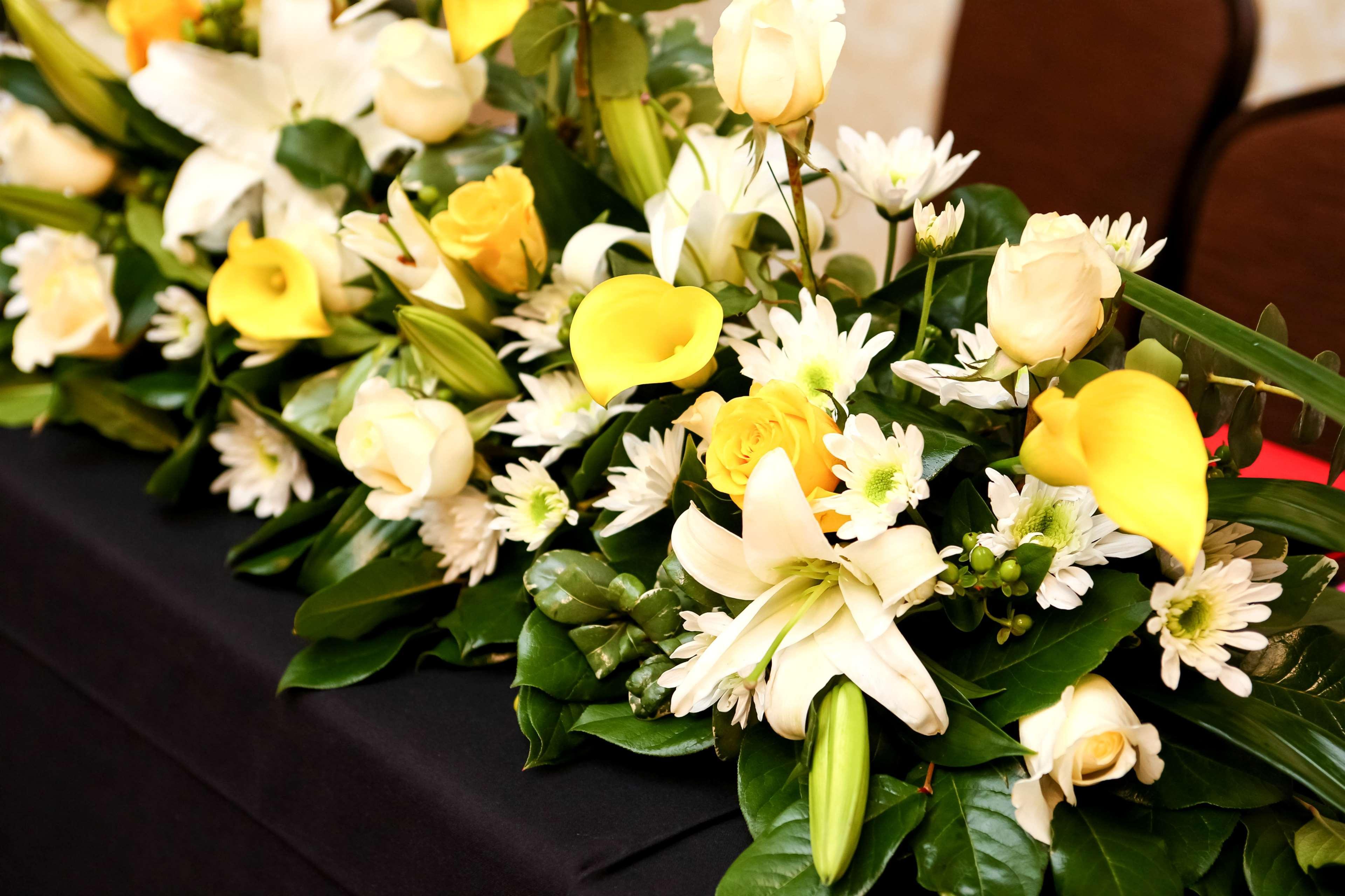 Hilton Garden San Antonio-live Oak Conference Center Hotel