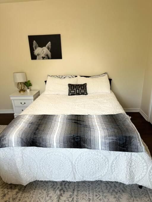 Walk To The Alamodome! Sleeps 6, Pet Friendly