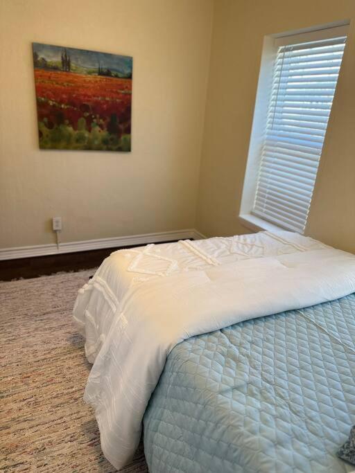 Apartment Walk To The Alamodome! Sleeps 6, Pet Friendly