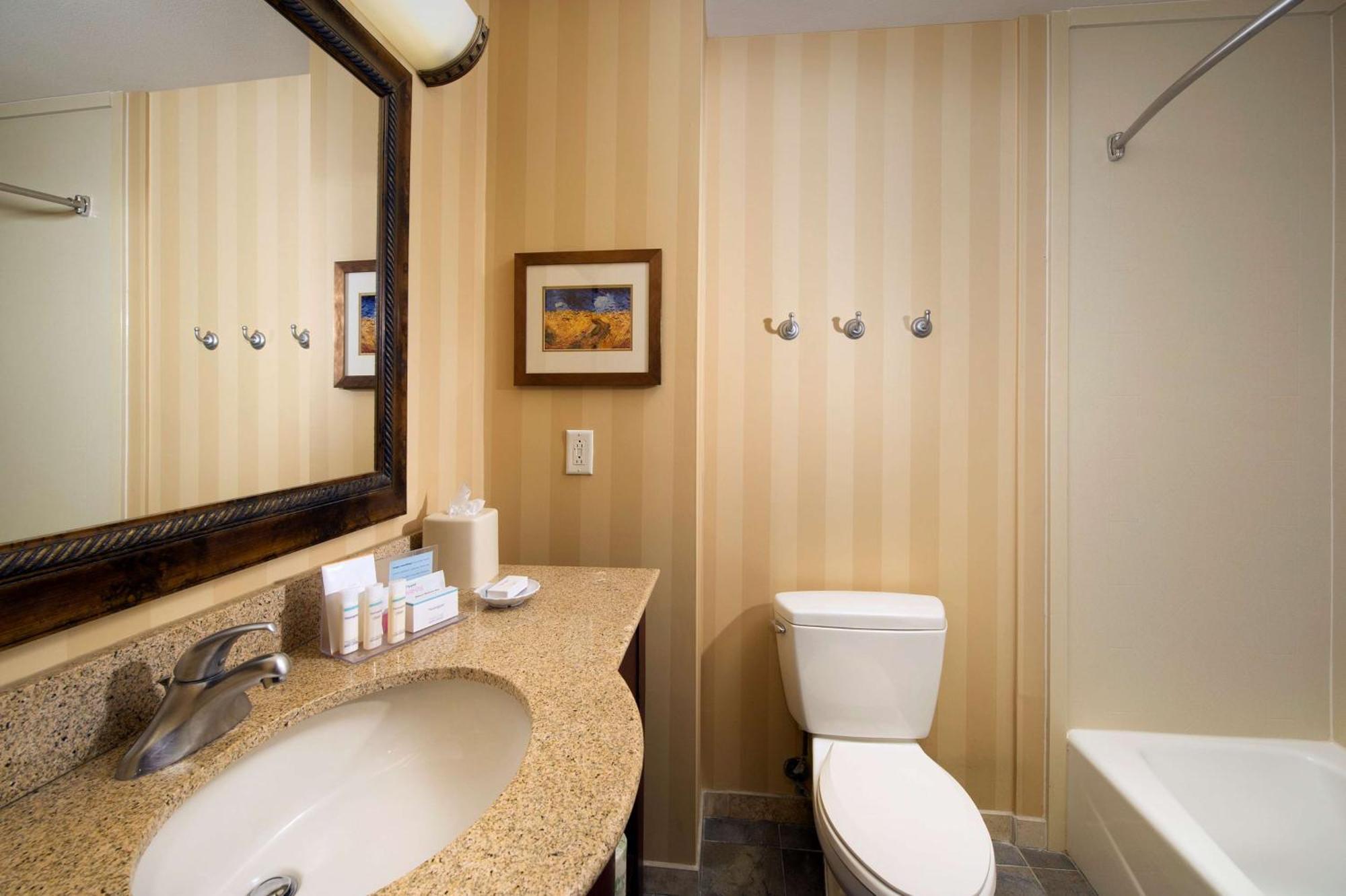 Hampton And Airport 3* San Antonio