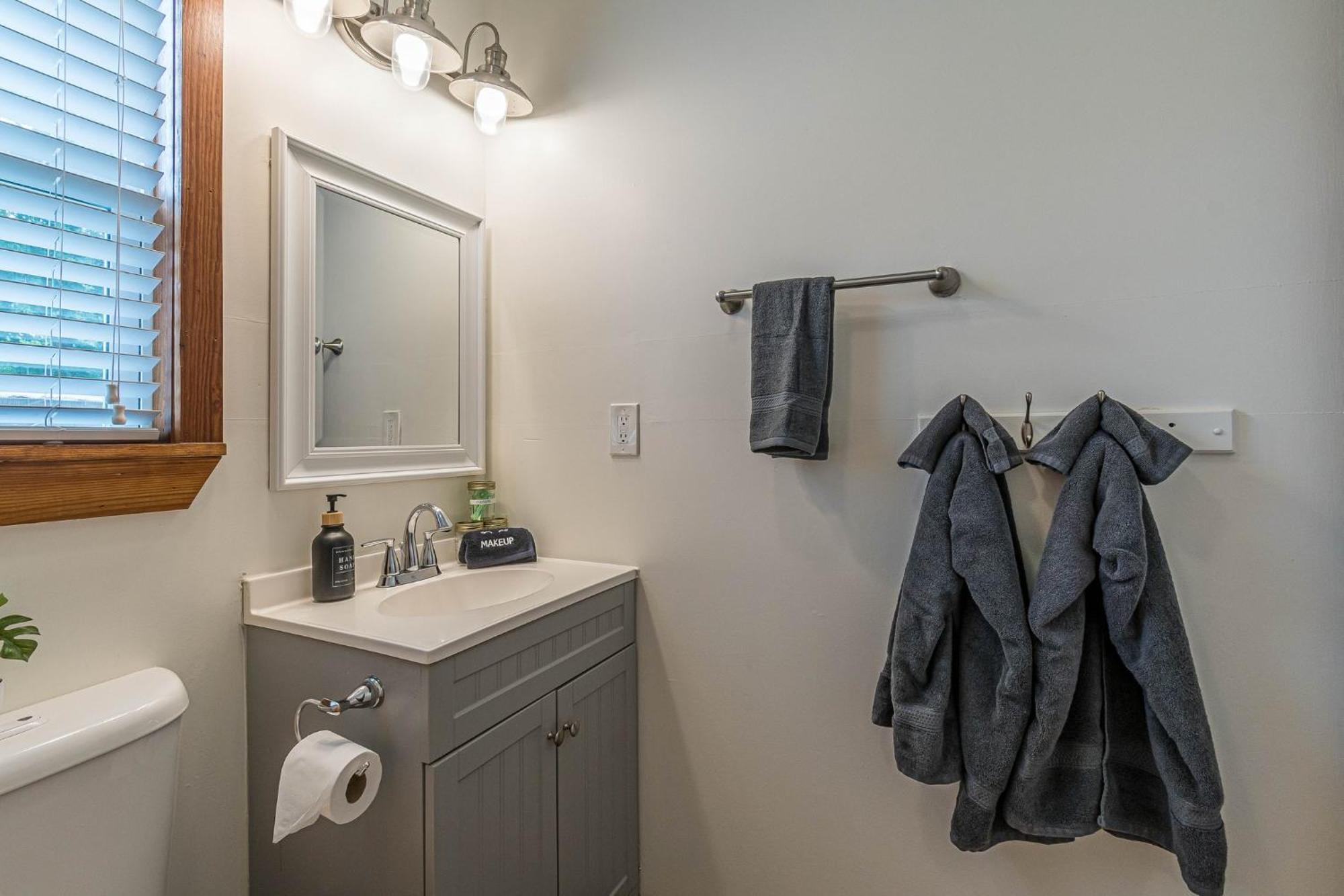 Free Parking, Walk To Botanical Garden, Ps4, Grill, Private Fenced Backyard, Pets Allowed * San Antonio
