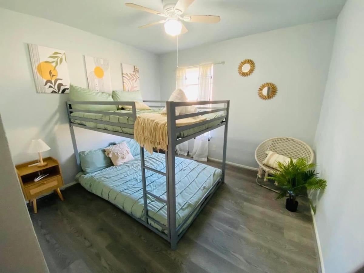 311 Cozy Alamo Near Downtown San Antonio