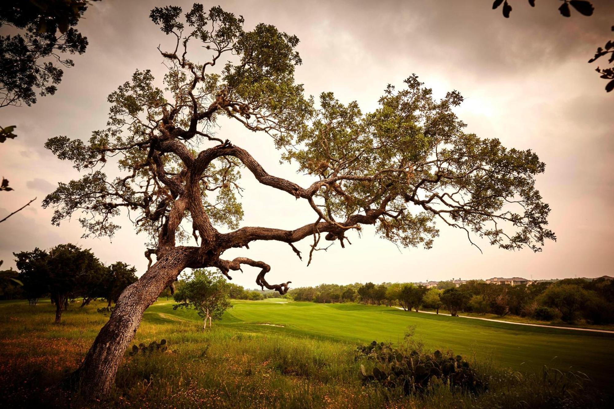 Resort Jw Marriott San Antonio Hill Country & Bulverde