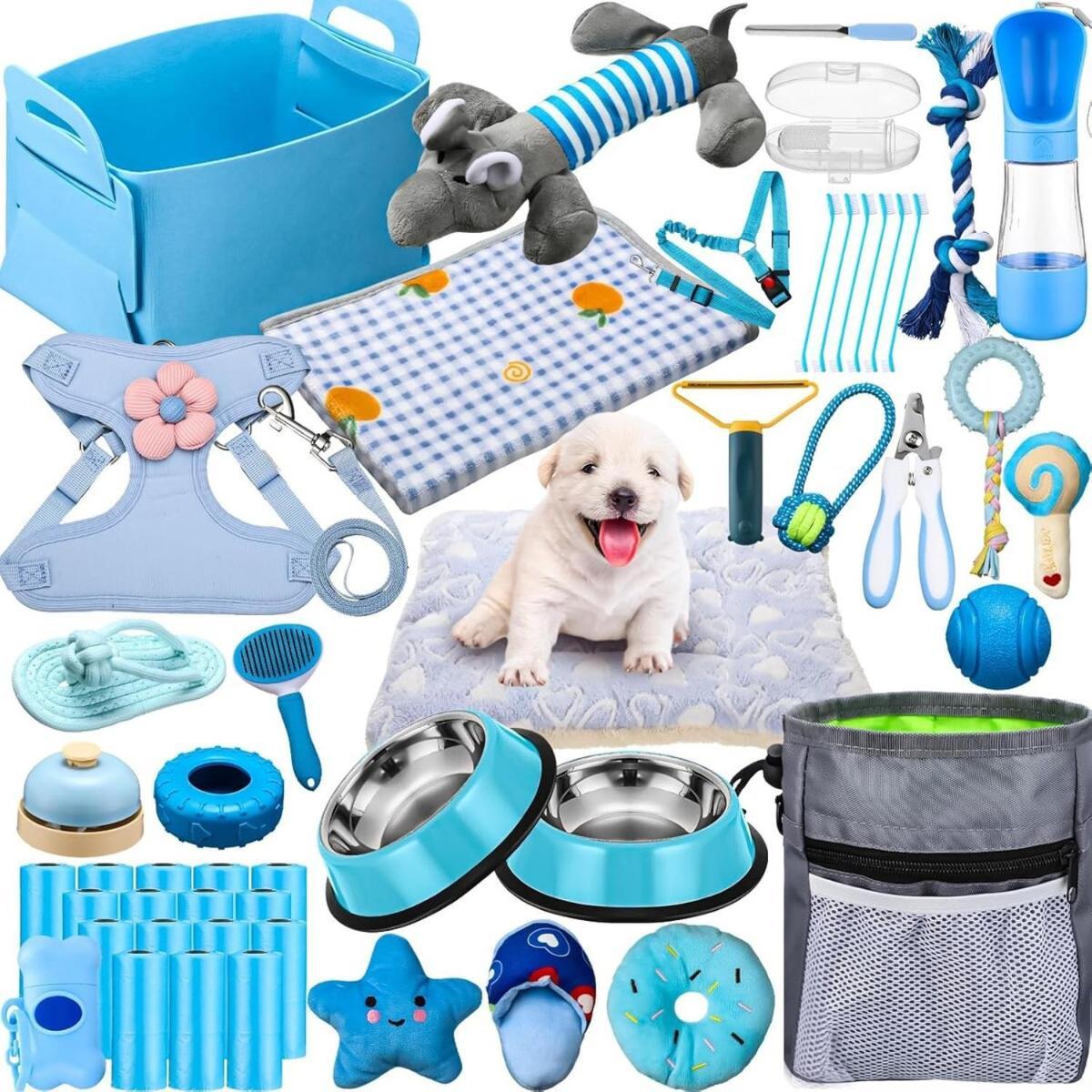 Pet-friendly Haven In * San Antonio