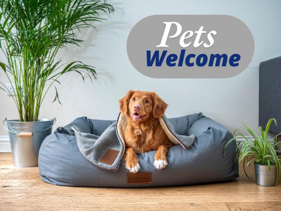 Pet-friendly Haven In Holiday home *