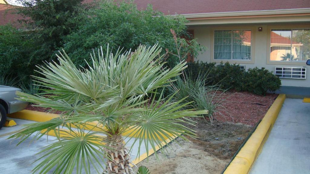 Winnquest Near Ft. Sam Houston Motel San Antonio