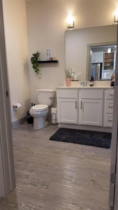 Beautiful On Riverwalk King W Free Parking Pet Friendly Centrally Located On The Riverwalk *