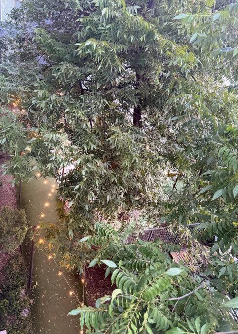 Apartment Beautiful On Riverwalk King W Free Parking Pet Friendly Centrally Located On The Riverwalk *