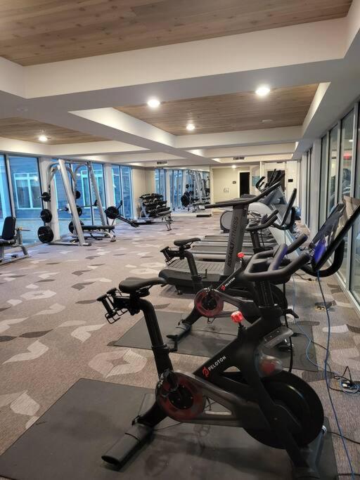 Apartment Beautiful On Riverwalk King W Free Parking Pet Friendly Centrally Located On The Riverwalk
