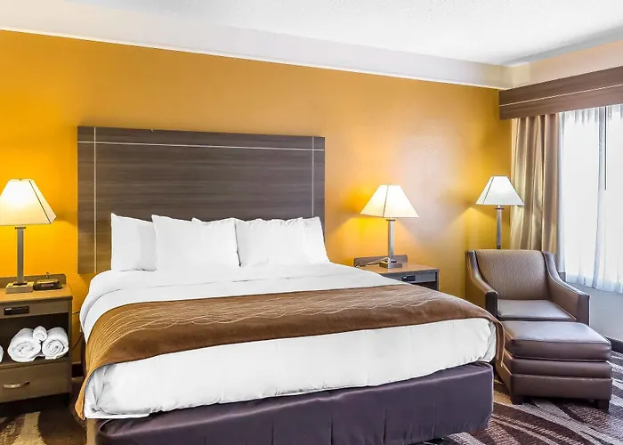 Comfort Inn I-10 East Near At&T Center