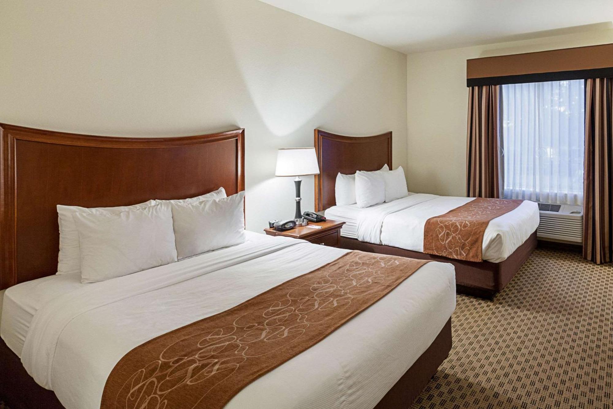 Comfort North - Stone Oak Hotel San Antonio