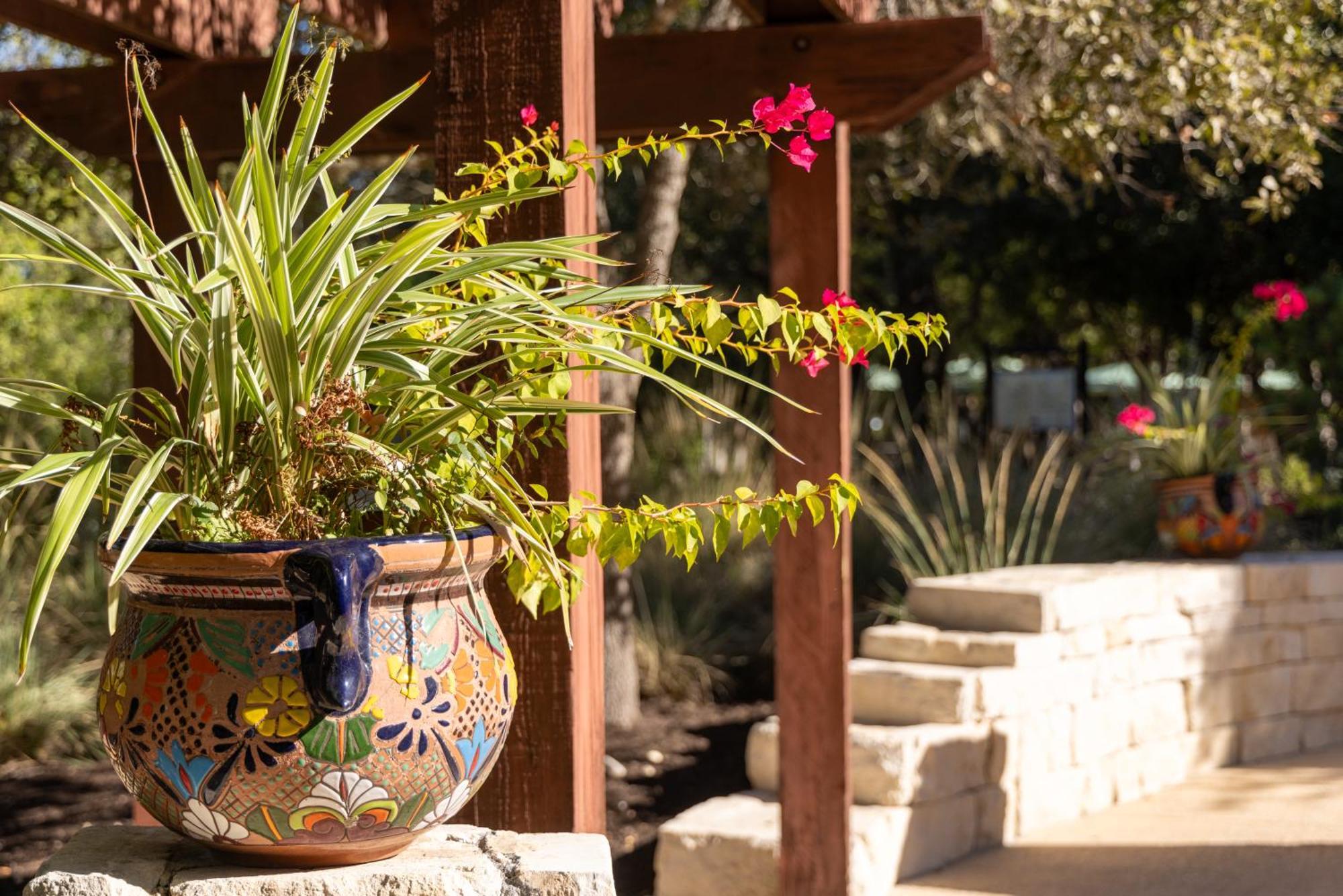 Hotel Hyatt Vacation Club At Wild Oak Ranch