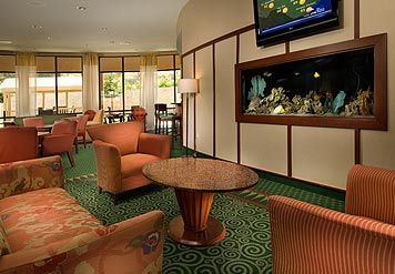 Hotel Courtyard By Marriott Seaworld/lackland