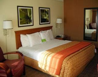 Hotel Super 8 By Wyndham Near Seaworld Ingram Park San Antonio