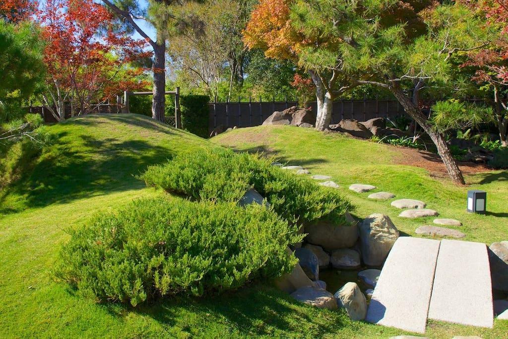 Beautiful At Botanical Gardens #8